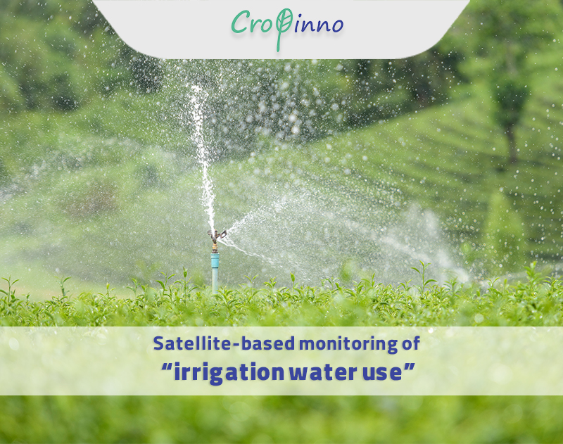 Satellite-based monitoring of irrigation water use