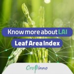 Leaf Area Index