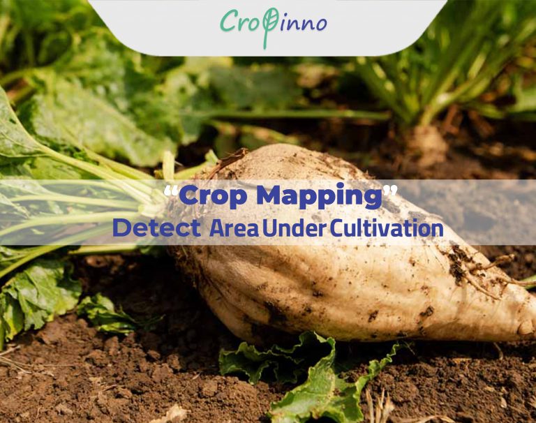 Crop mapping & detection area under cultivation