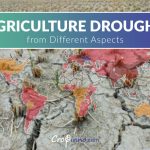 Agriculture Drought from Different Aspects