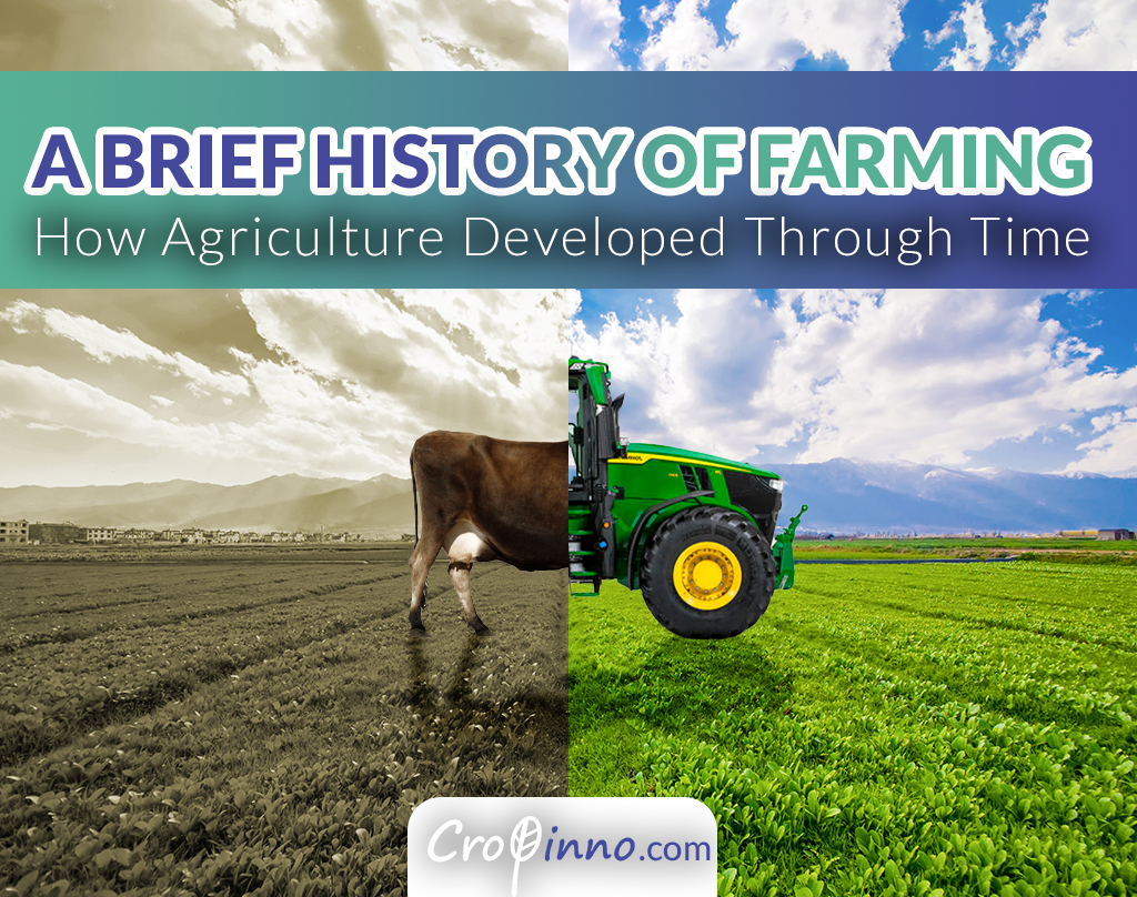 A Brief History of Farming