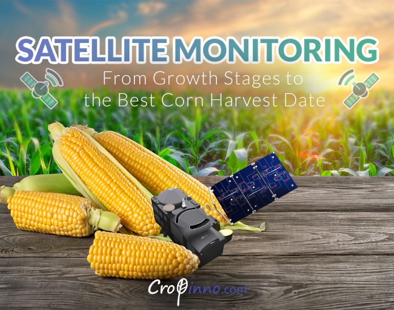 Identifying Best Corn Harvest Date