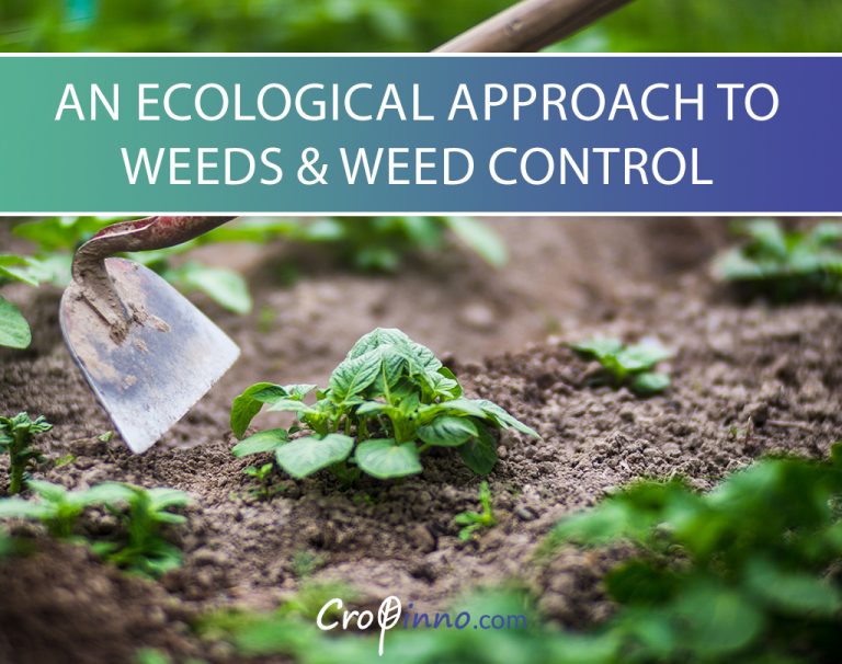 ecological approach to weed control