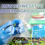 How did we get to modern agriculture?