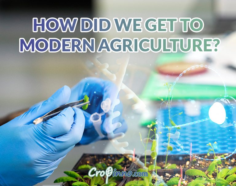 How did we get to modern agriculture?