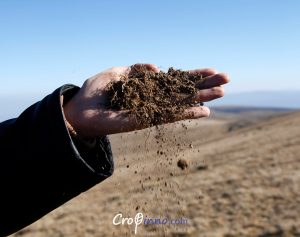 Farmer holding dry soil in his hand